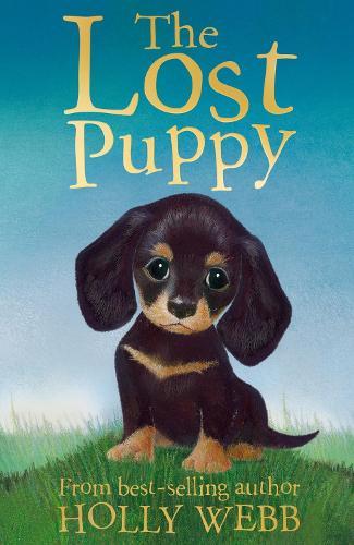 The Lost Puppy  by Holly Webb at Abbey's Bookshop, 