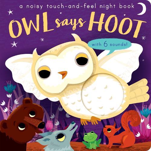 Owl Says Hoot: A noisy touch-and-feel night book  by Amanda Enright at Abbey's Bookshop, 