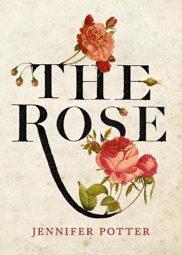The Rose  by Jennifer Potter at Abbey's Bookshop, 
