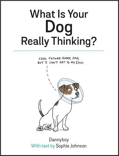 What Is Your Dog Really Thinking?: Funny Advice and Hilarious Cartoons to Help You Understand What Your Dog is Trying to Tell You  by Sophie Johnson at Abbey's Bookshop, 