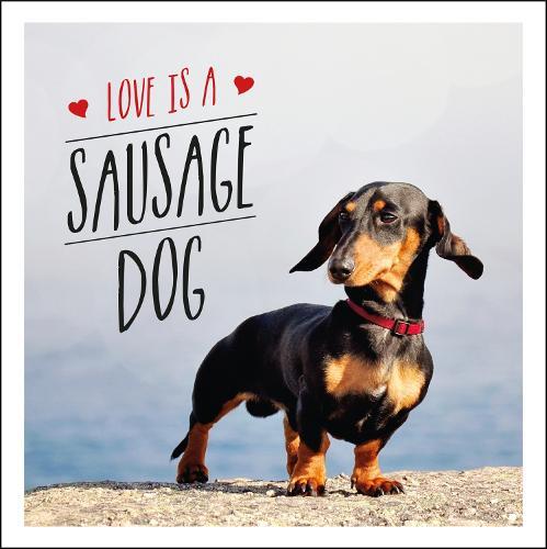 Love is a Sausage Dog: A Pup-Tastic Celebration of Dachshunds - The World's Cutest Dogs  by Charlie Ellis at Abbey's Bookshop, 