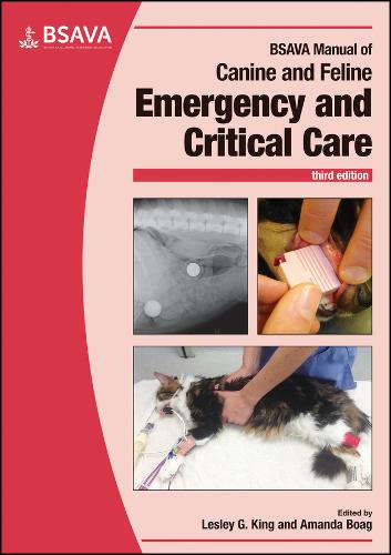 Small Animal Laparoscopy and Thoracoscopy