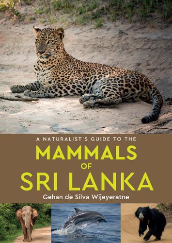 A Naturalist's Guide to the Mammals of Southeast Asia