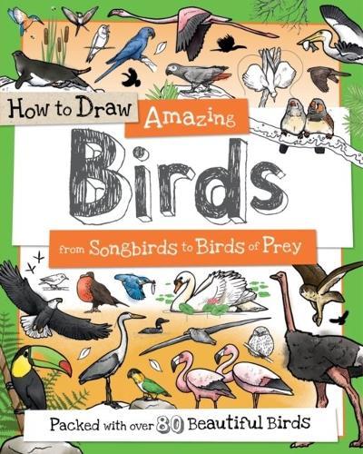 How to Draw Amazing Birds  by Toby Reynolds at Abbey's Bookshop, 