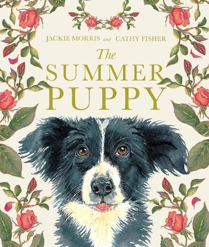 The Summer Puppy  by Jackie Morris at Abbey's Bookshop, 