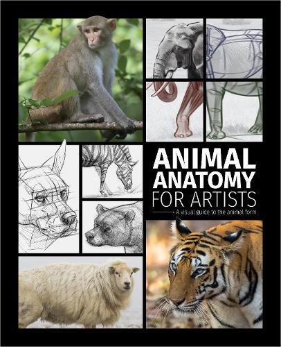 Animal Anatomy for Artists: A visual guide to the animal form  by 3dtotal Publishing at Abbey's Bookshop, 