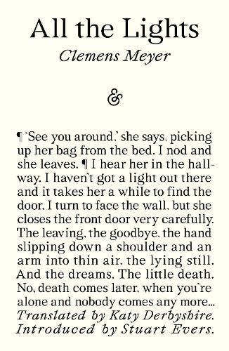 All The Lights  by Clemens Meyer at Abbey's Bookshop, 