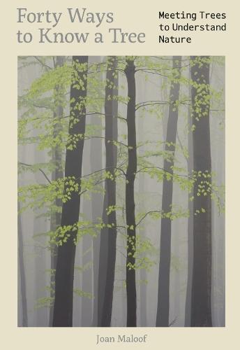 The Laser That's Changing the World: The Amazing Stories behind Lidar from 3D Mapping to Self-Driving Cars