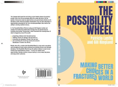 The Possibility Wheel: Making better choices in a fractured world