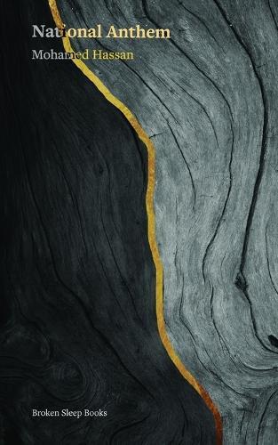 Turkish Paramilitarism in Northern Kurdistan: State Violence in the 1990s