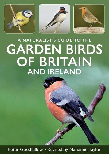 Field Guide to the Birds of Japan