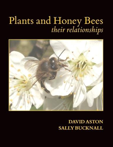 Beekeeping Success: Start Right, Grow Strong Colonies, Harvest More Honey