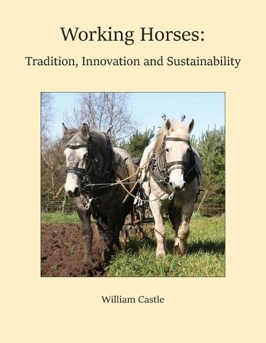 Smart Farming Technologies for Sustainable Agricultural Development