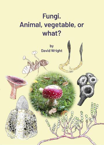 Fungi. Animal, Vegetable or What?