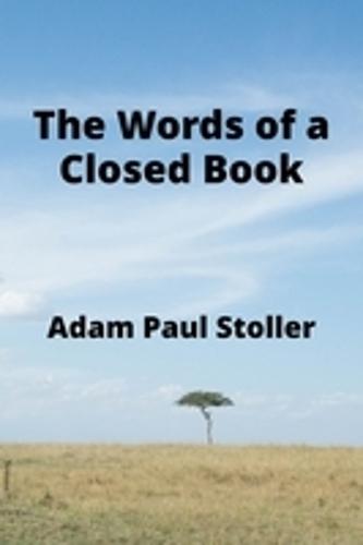 #Lemonadelife: The Book