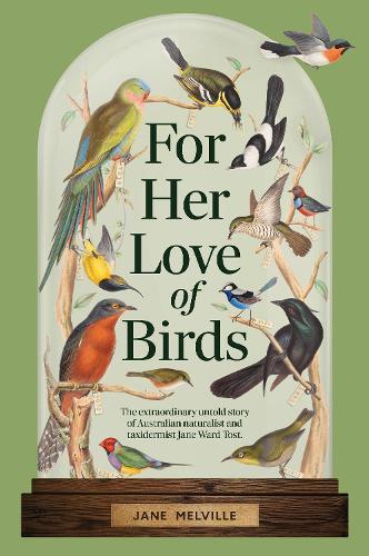 For Her Love of Birds: The extraordinary untold story of Australian naturalist and taxidermist Jane Ward Tost