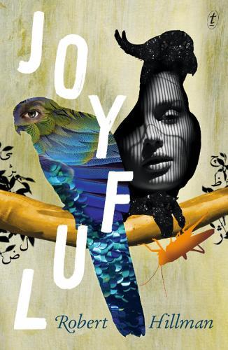 Joyful  by Robert Hillman at Abbey's Bookshop, 