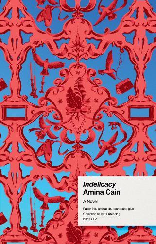 Indelicacy  by Amina Cain at Abbey's Bookshop, 