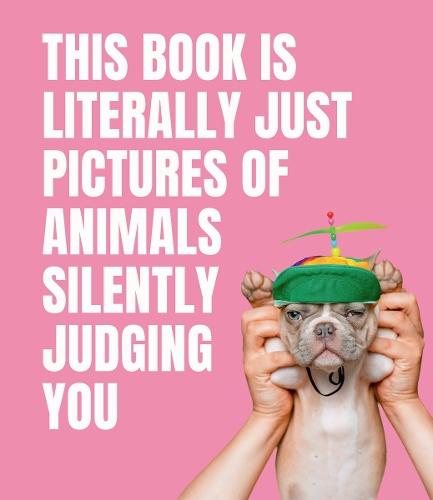 This Book is Literally Just Pictures of Animals Silently Judging You  by Smith Street Books at Abbey's Bookshop, 