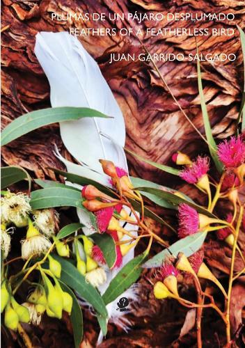 Feather of a Featherless Bird  by Juan Garrido-Salgado at Abbey's Bookshop, 