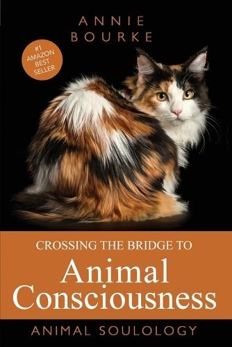Crossing the Bridge to Animal Consciousness: Animal Soulology  by Annie Bourke at Abbey's Bookshop, 