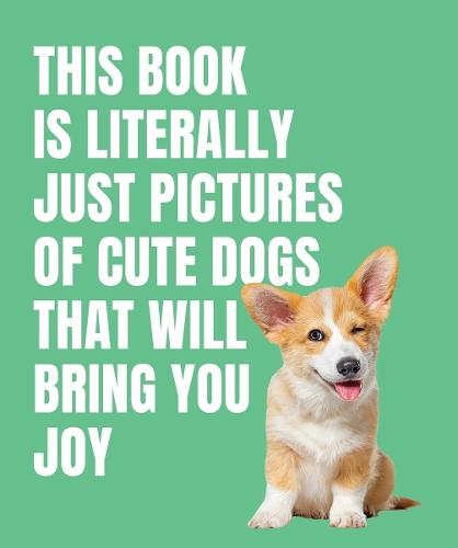 This Book is Literally Just Cute Dogs That Will Bring You Joy  at Abbey's Bookshop, 