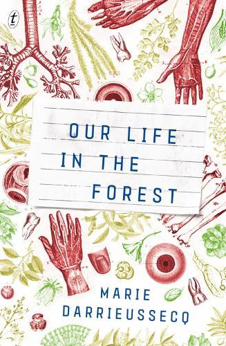 Our Life in the Forest  by Marie Darrieussecq at Abbey's Bookshop, 
