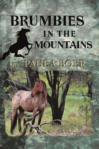 Brumbies in the Mountains  by Paula Boer at Abbey's Bookshop, 