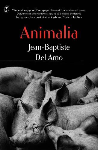 Animalia  by Jean-Baptiste Del Amo at Abbey's Bookshop, 