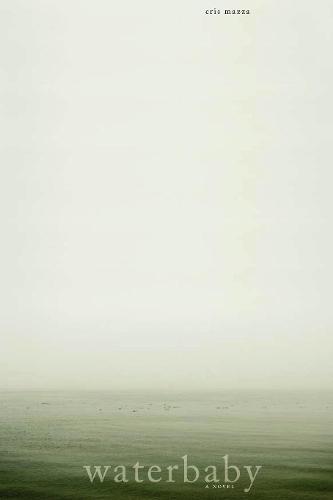 Waterbaby: A Novel  by Cris Mazza at Abbey's Bookshop, 