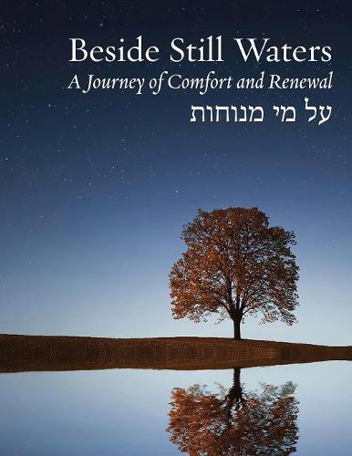 Beside Still Waters: A Journey of Comfort and Renewal - Large Print Edition  by Rachel Barenblat at Abbey's Bookshop, 