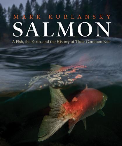 Swainston's Fishes of Australia: The complete illustrated guide: The Complete llustrated Guide