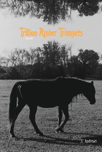 Trillion Amber Trumpets  by Jc Andrews at Abbey's Bookshop, 