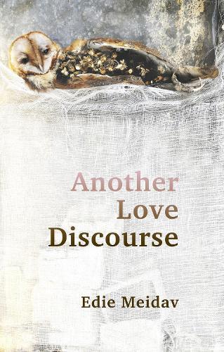 Another Love Discourse  by Edie Meidav at Abbey's Bookshop, 