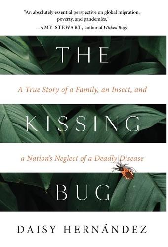 The Kissing Bug  by Daisy Hernández at Abbey's Bookshop, 