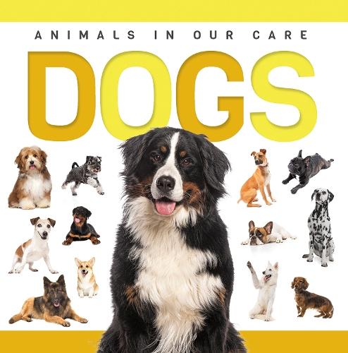 Dogs  by Eliza Nodes at Abbey's Bookshop, 