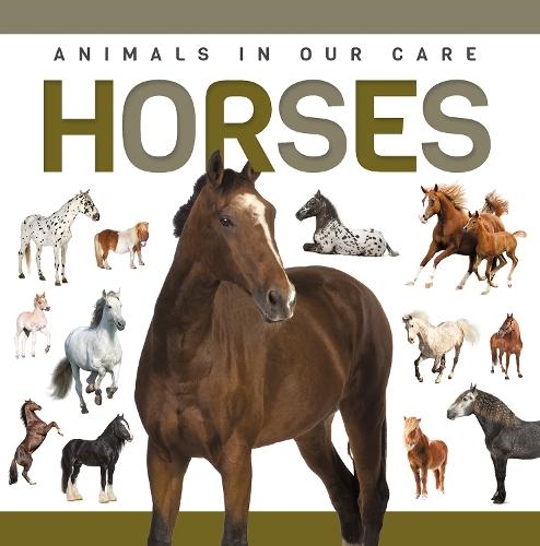 Horses  by Alex Hall at Abbey's Bookshop, 