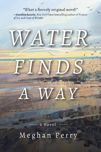Water Finds a Way a novel  by Meghan Perry at Abbey's Bookshop, 