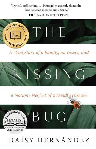 The Kissing Bug  by Daisy Hernández at Abbey's Bookshop, 