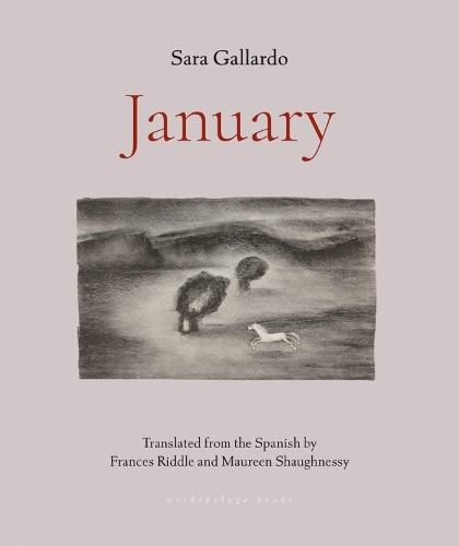January  by Sara Gallardo at Abbey's Bookshop, 