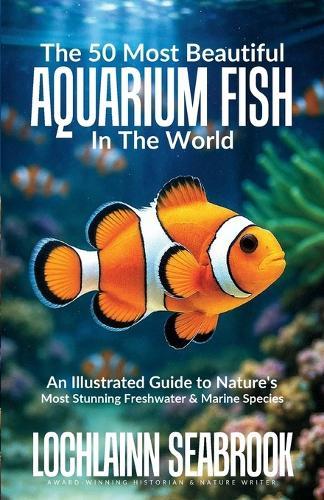 Aquarium Making- Fishkeeping & Maintenance