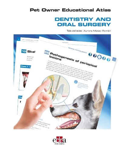 Small Animal Dental Equipment, Materials, and Techniques