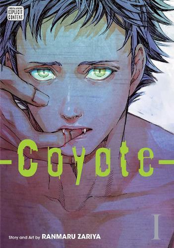 Coyote Vol 1 (GN)