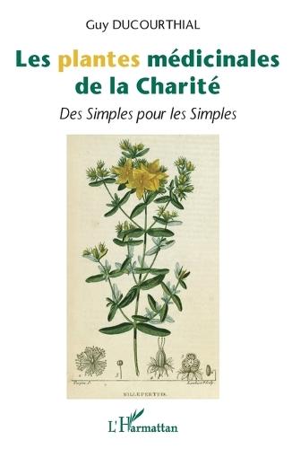 L'Effondrement, avant, pendant, après.: L'Occident s'effondre. Et si c'était une chance ?