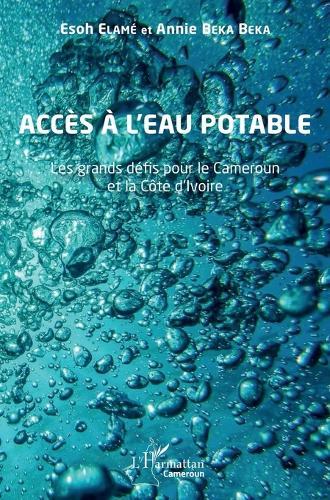 Accès à l'eau potable: Les grands défis pour le Cameroun et la Côte d'Ivoire