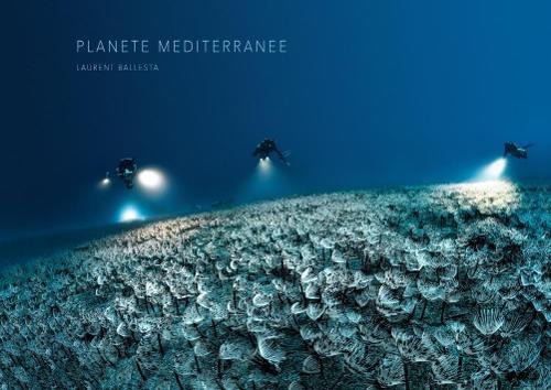 Mediterranean Planet  by Laurent Ballesta at Abbey's Bookshop, 