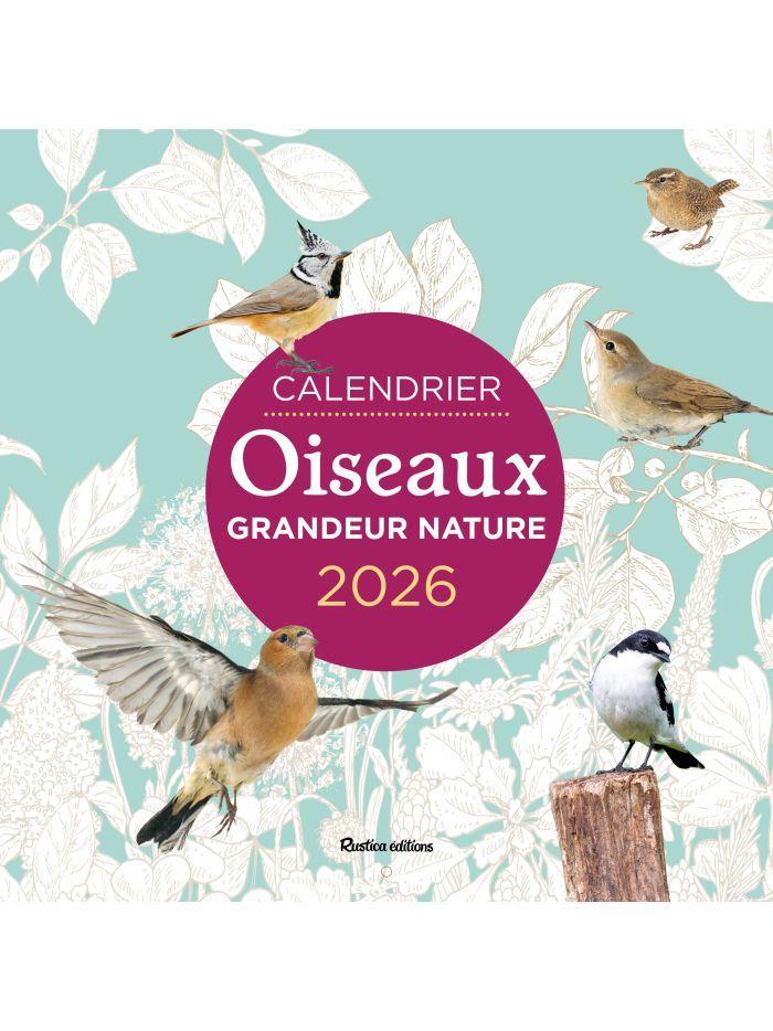 Calendrier Oiseaux Grandeur Nature 2026  by Guilhem Lesaffre at Abbey's Bookshop, 
