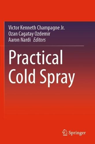 Deformation Processes in TRIP/TWIP Steels: In-Situ Characterization Techniques