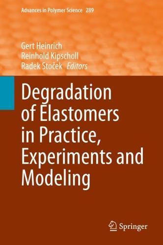 Degradation of Elastomers in Practice, Experiments and Modeling  by Gert Heinrich at Abbey's Bookshop, 