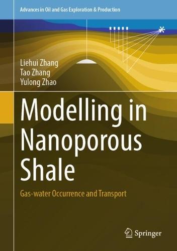 Modelling in Nanoporous Shale: Gas-water Occurrence and Transport  by Liehui Zhang at Abbey's Bookshop, 
